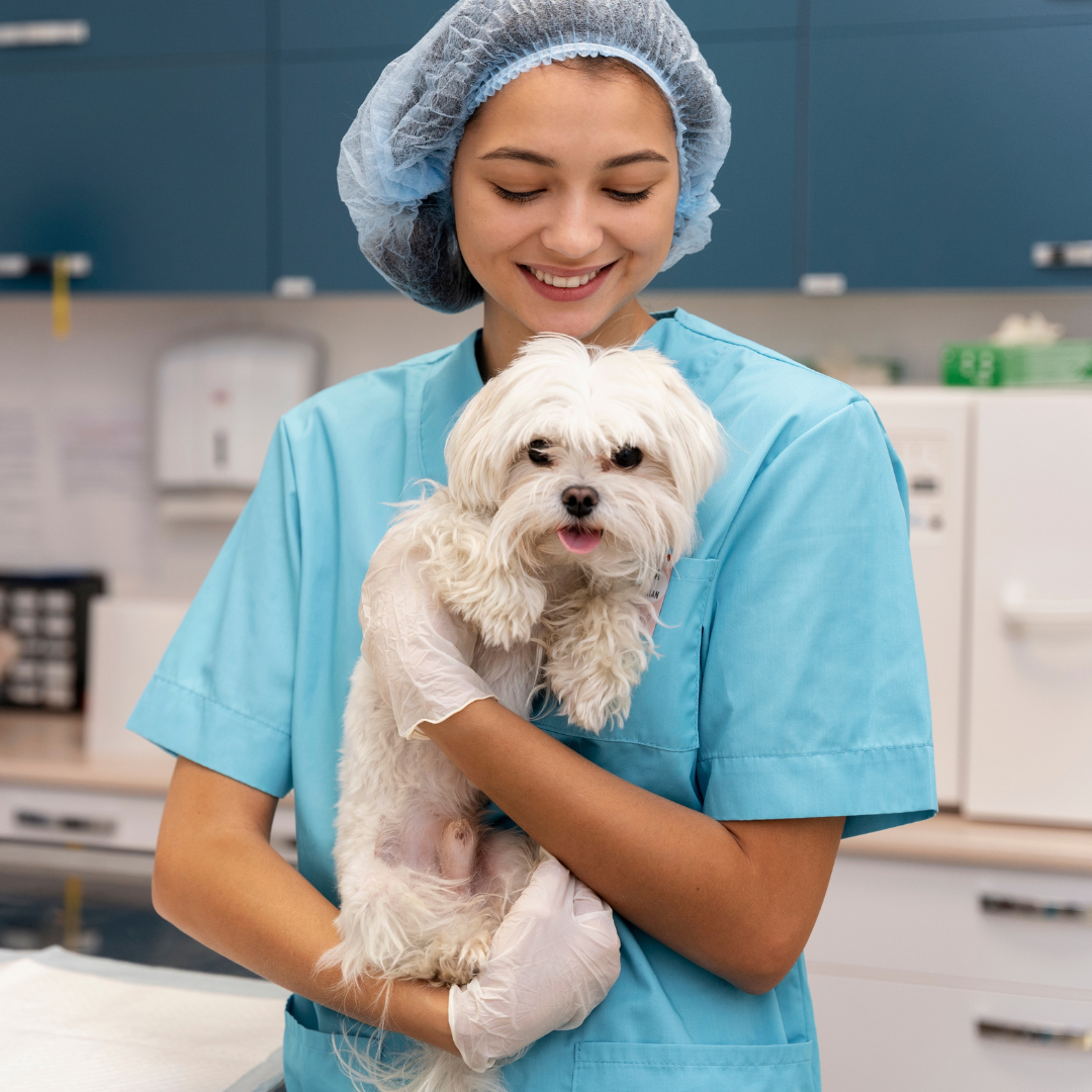 petcarezo