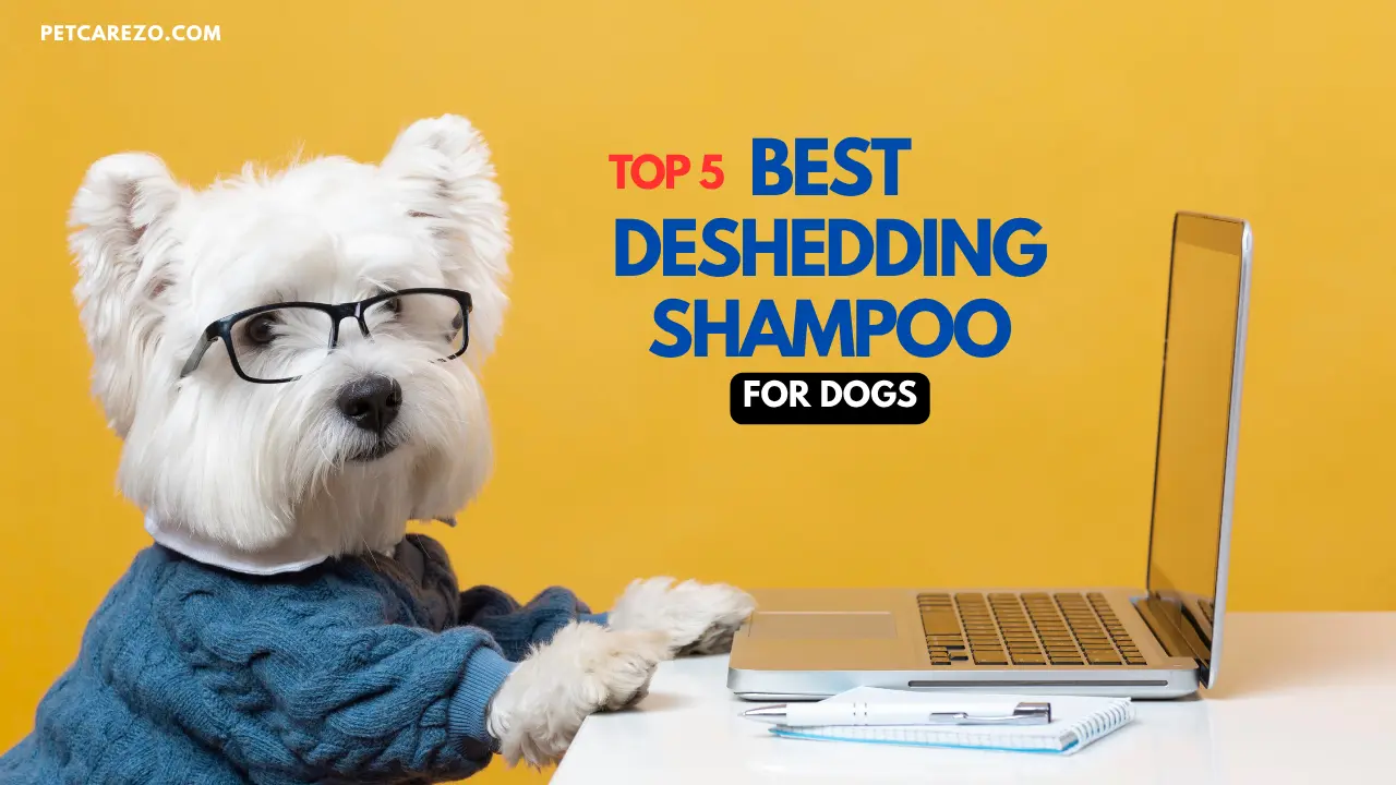 You are currently viewing Top 5 Best Deshedding Shampoo for Dogs